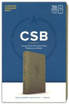 CSB Large Print Personal Size Reference Bible, Digital Study Edition Sage